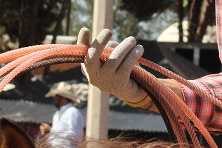 Guanti Da Corda Ultra Misti Cactus Ropes Team Roping Gear - Foto 5