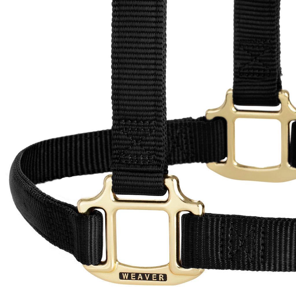 Trill Rope Cabezada para caballo marca Weaver – CACTUS ROPES MEXICO