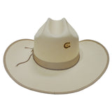 Charlie 1 Horse All day every day natural