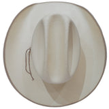 Charlie 1 Horse All day every day natural