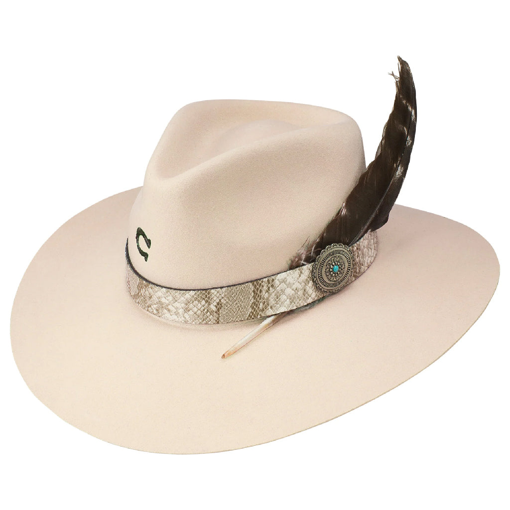 Charlie 1 horse – CACTUS ROPES MEXICO