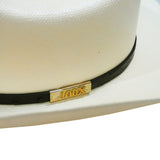 Larry Mahan El Noble Natural 100X Copa 67 Ala 3 1/2"