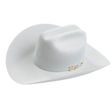 Larry Mahan El Oro 6X Platinum Copa 65