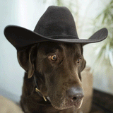 Larry Mahan Fort Worth 5x Black
