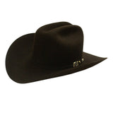 Larry Mahan Independencia 100X Brown Copa 67