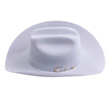 Larry Mahan Independencia 100X Platinum Copa 65