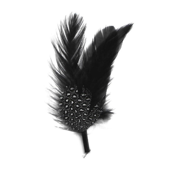 Pluma Negra/Moteada Enrique Cactus