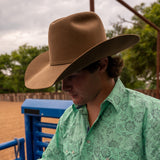 Resistol Midnight 6X Driftwood RB