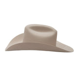 Resistol Midnight 6x Silverbelly