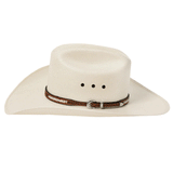 Stetson Wakefield 10x Natural