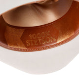 Stetson Diamante 1000X Silverbelly