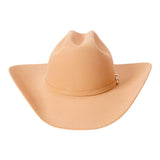 Stetson Shasta 10x Butterscotch 4840