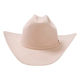 Stetson Shasta 10x Silverbelly