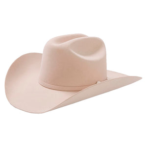 Stetson Shasta 10x Silverbelly