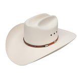 Stetson Harwood 10x Natural