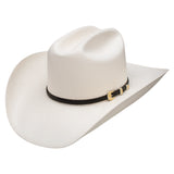 Stetson Atrisco 10x Natural