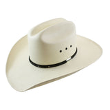 Stetson Brayden 10x Natural