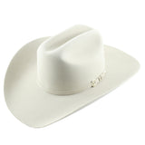 Stetson 150th Anniversary Paragon 150x Silverbelly