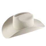 Stetson Copper Canyon 6x Silverbelly.